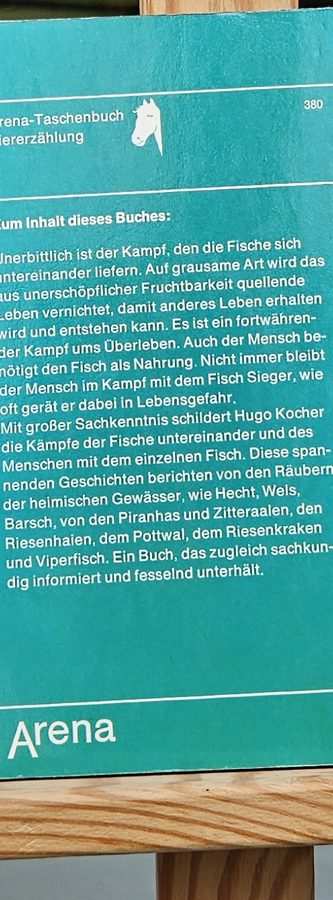 Der silberne Räuber Rückseite