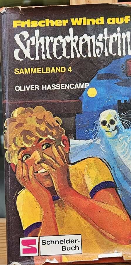 Frischer Wind auf Schreckenstein – Sammelband 4 Vorderseite