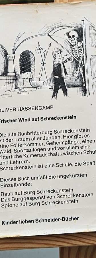 Frischer Wind auf Schreckenstein – Sammelband 4 Rückseite