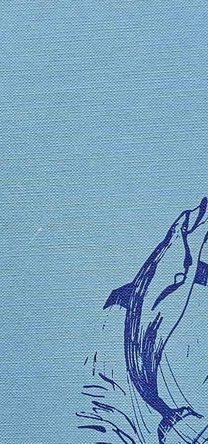 Blaues Buch mit Delfin-Motiv Vorderseite