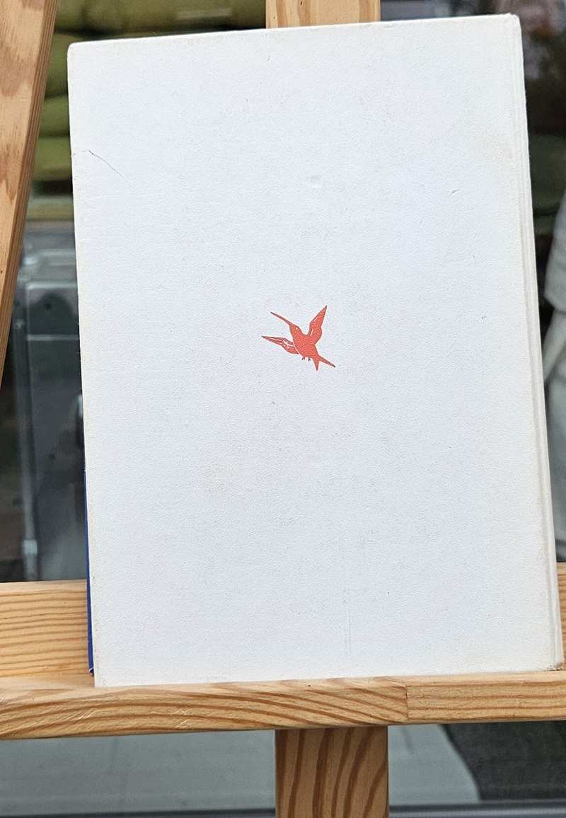 Schatzinsel Rück