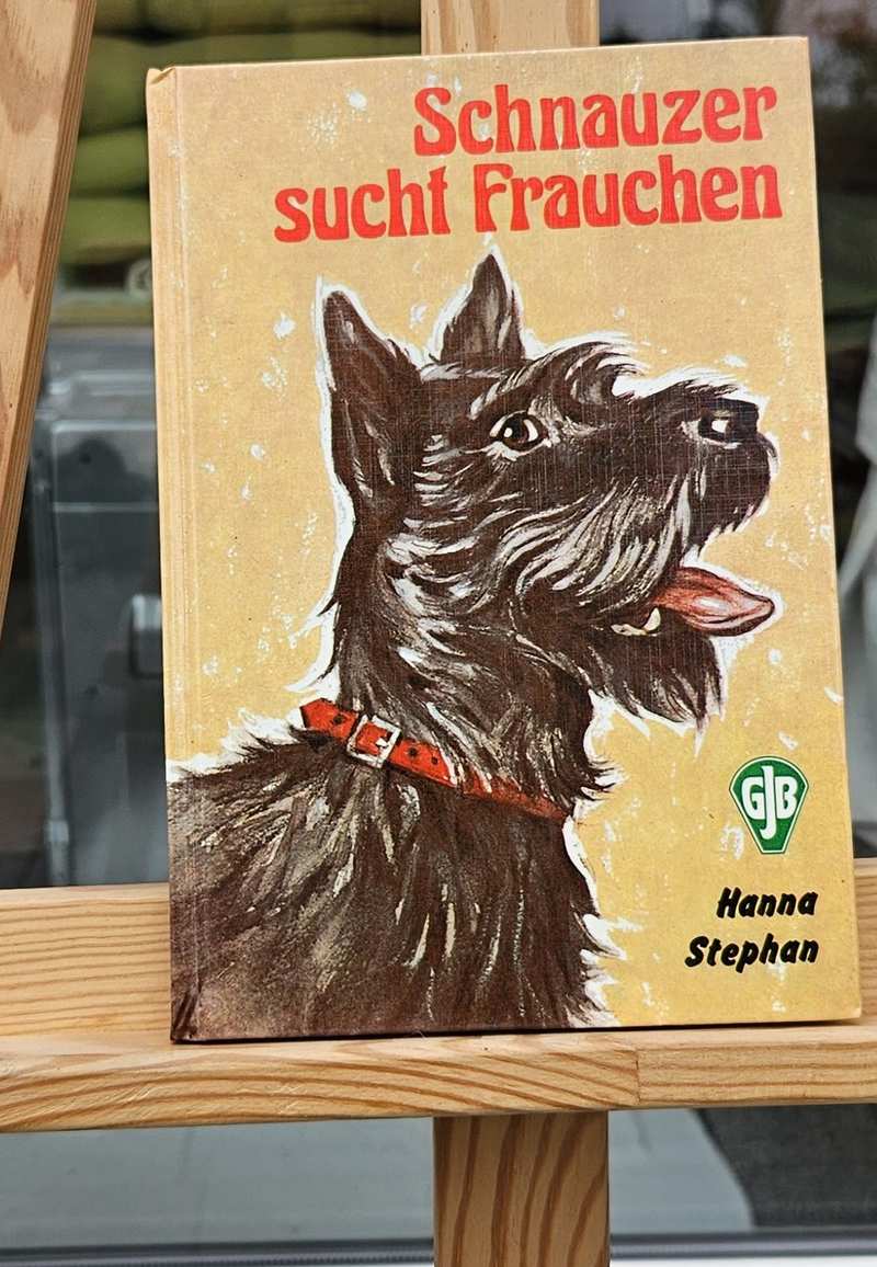 Schnauzer Vorder