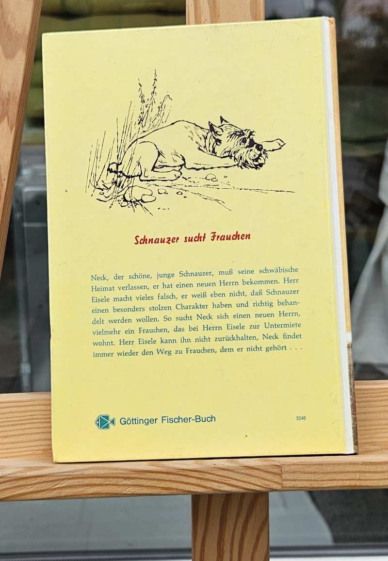 Schnauzer Rück