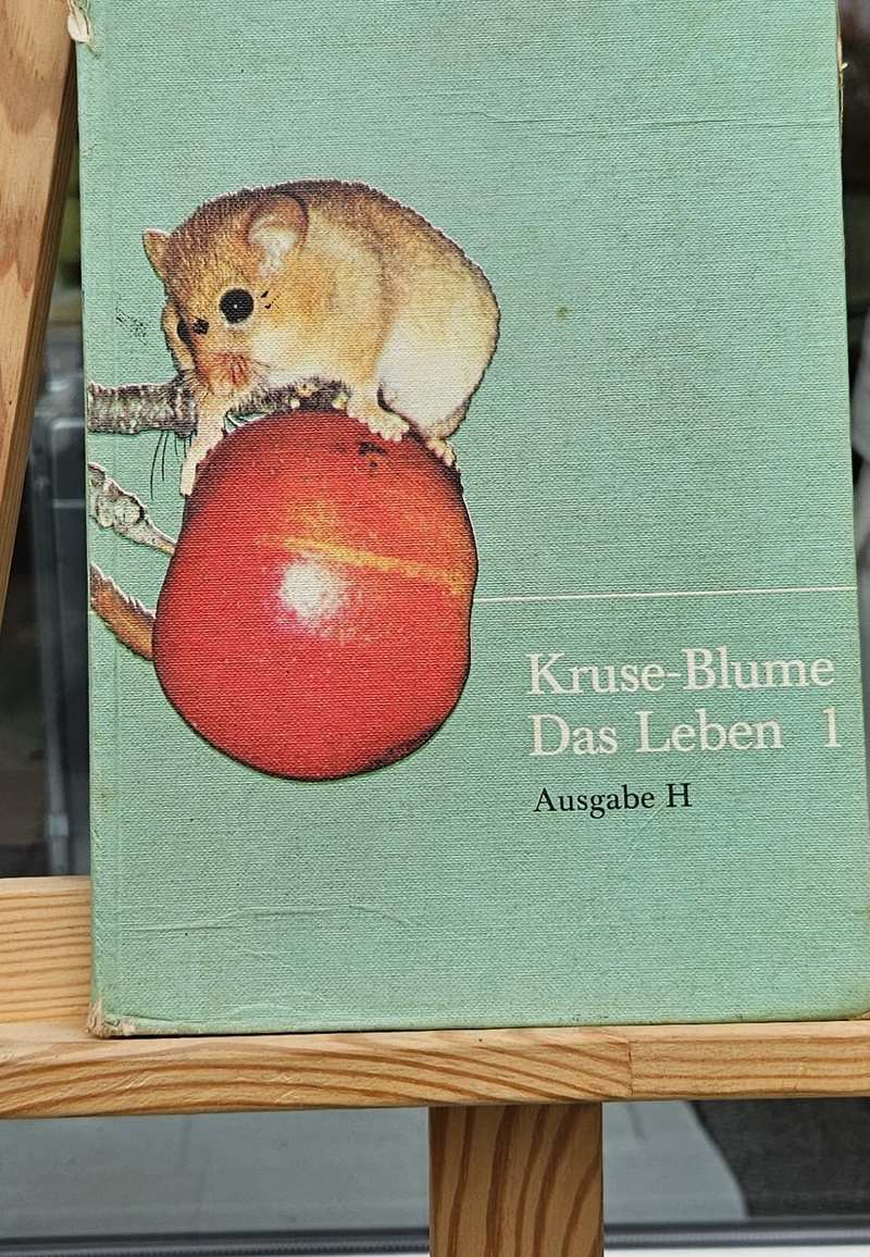 Das Leben Vorder