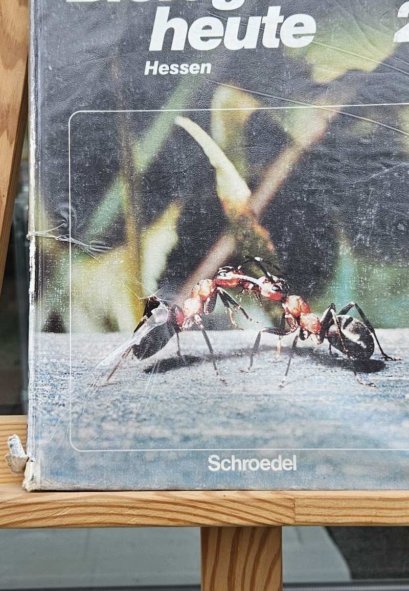 Biologie Vorder