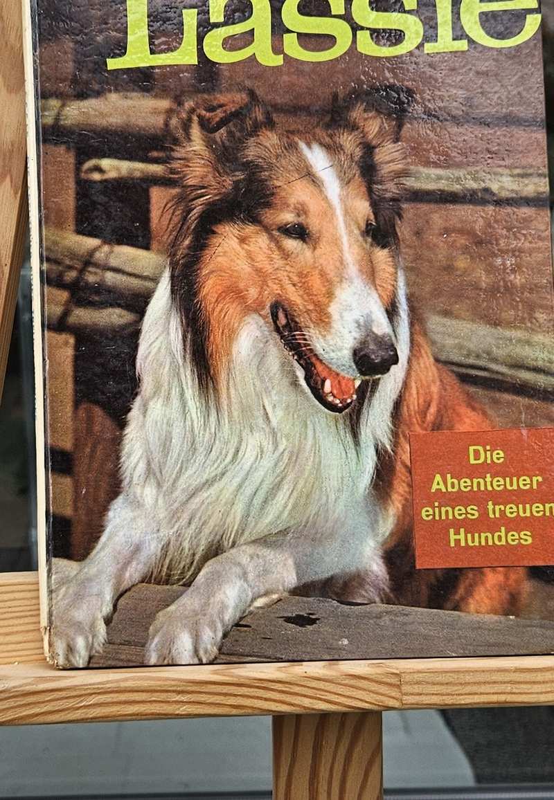 Lassie Vorder